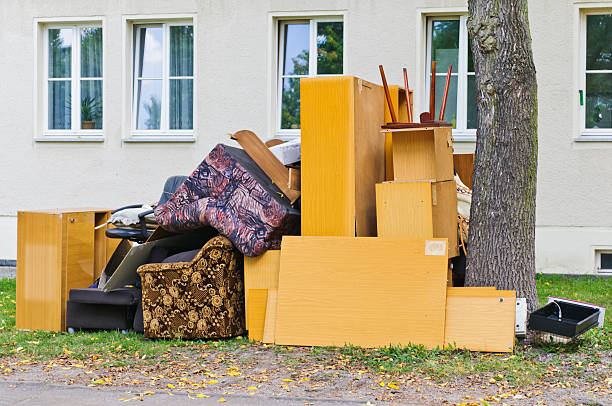Best Yard Cleanup Services  in Rincon Valley, AZ